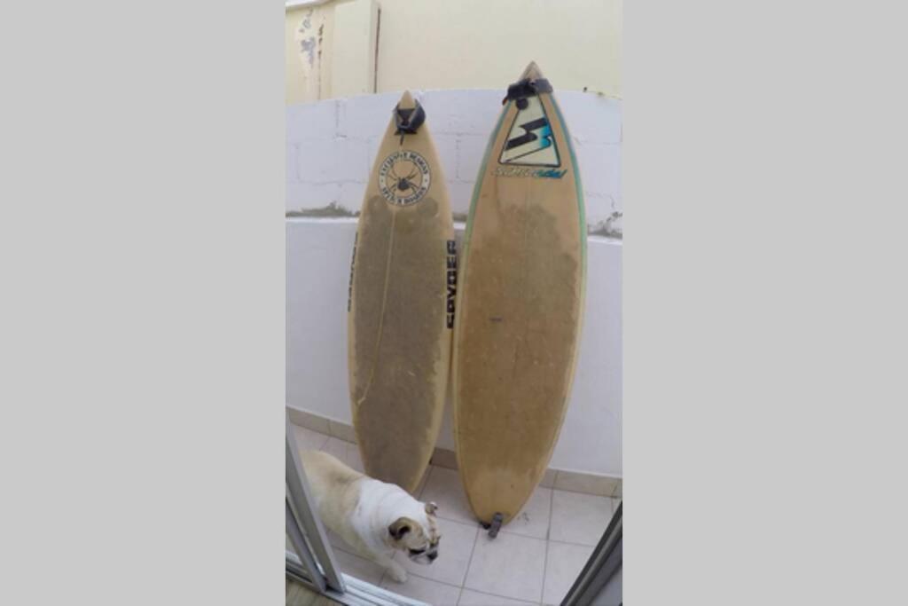 Surfboards Included In Your Stay!!! Tijuana Luaran gambar